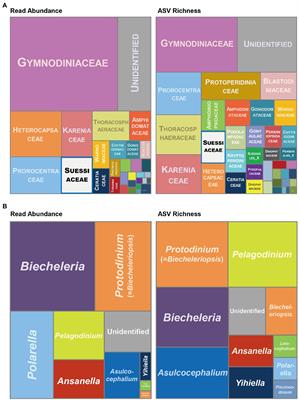 Assessment of biodiversity, global distribution, and putative ecological niches of suessiacean dinoflagellates by DNA metabarcoding